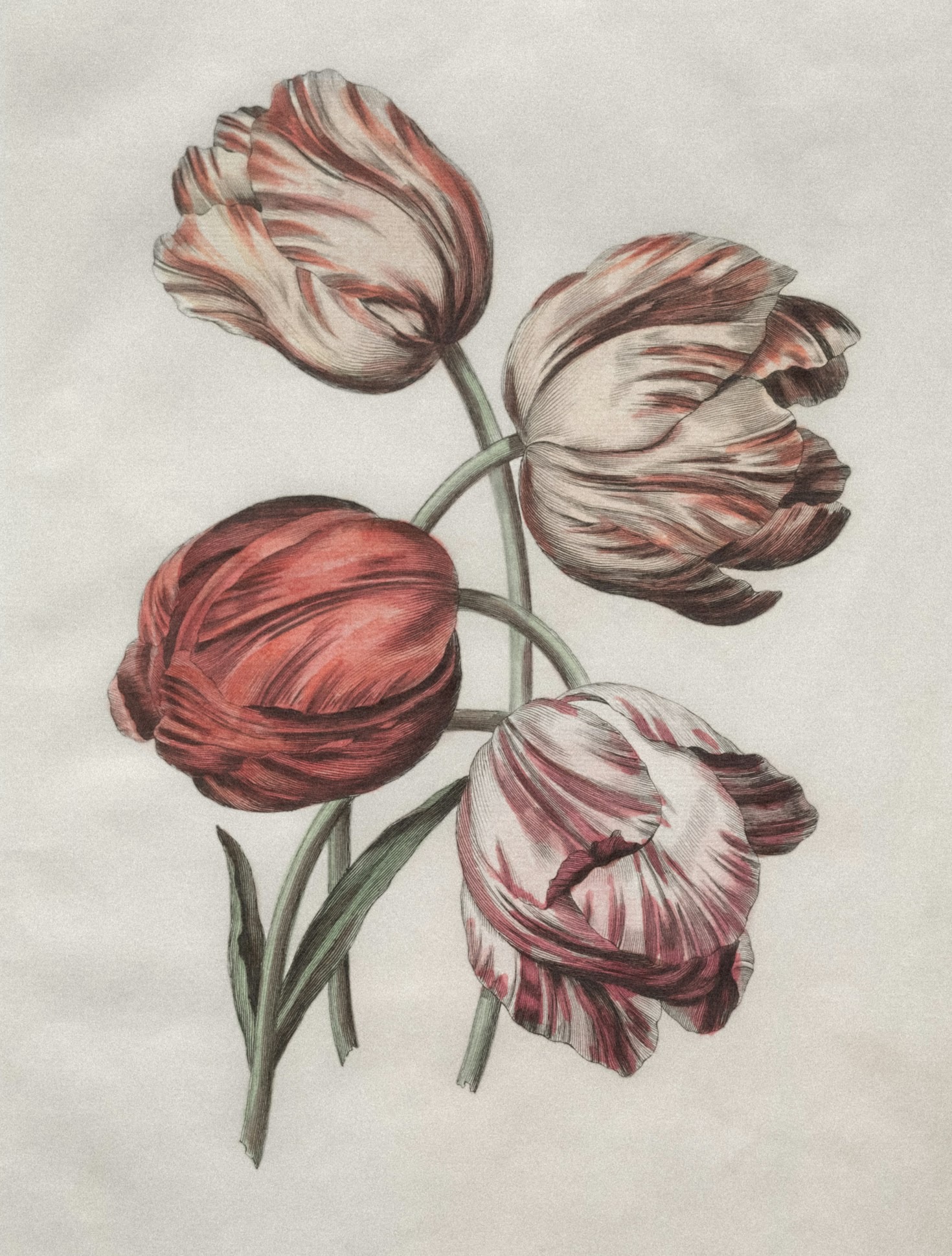 The Role of Visual Storytelling in Branding